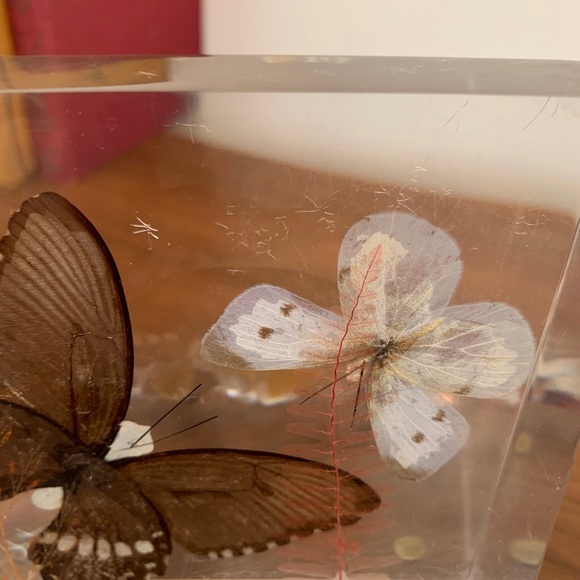 Vintage Lucite Pressed Butterfly Decor - Picture 2 of 11